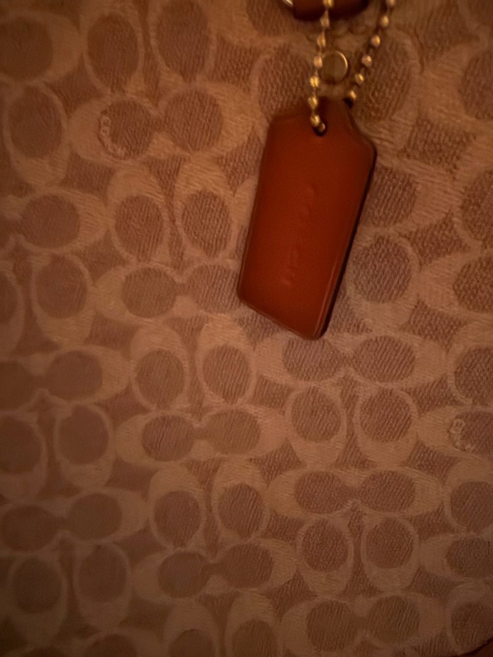 Coach Tan/Brown Signature Canvas Tote - Picture 3 of 7